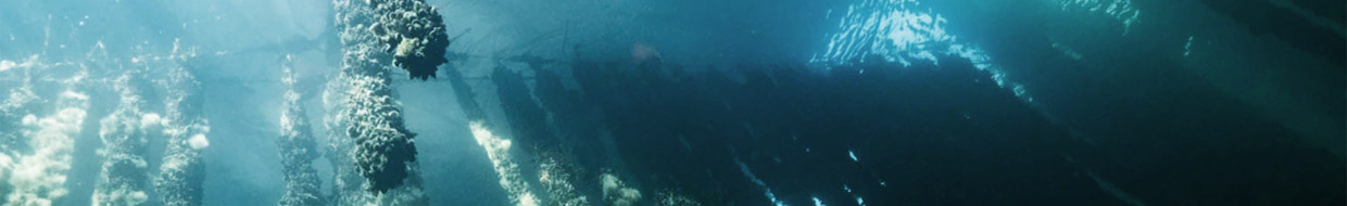 Topbanner